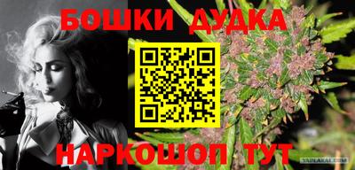 mdpv Ачхой-Мартан