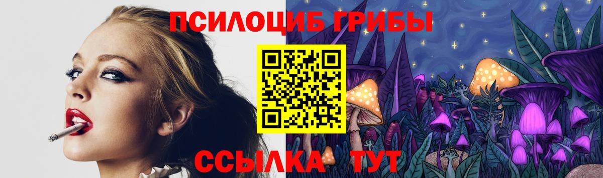 Галлюциногенные грибы Cubensis Людиново